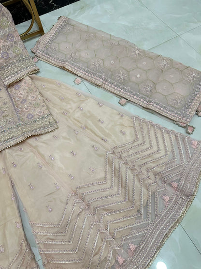 Newly Arrived Beautiful Pure Organza