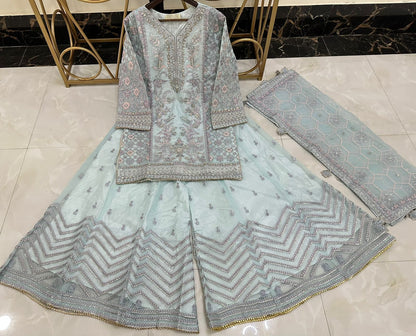 Newly Arrived Beautiful Pure Organza